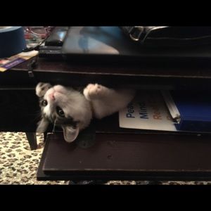 Meet your Posher, Melissa